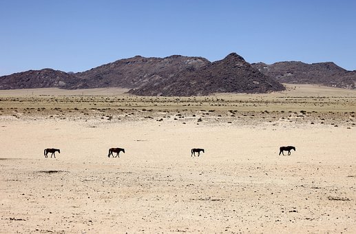 Free Namibia Desert photo and picture