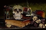 vanitas, death, skull