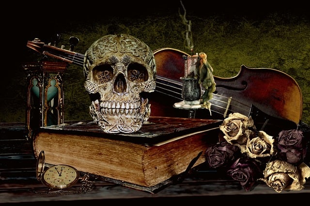 Free vanitas skull mystic illustration