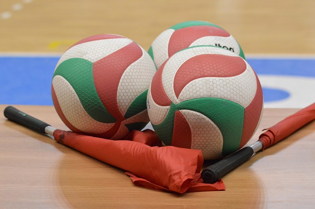 Free Volleyball The Ball photo and picture
