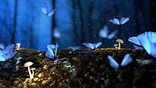 Butterfly, Blue, Forest, Fantasy