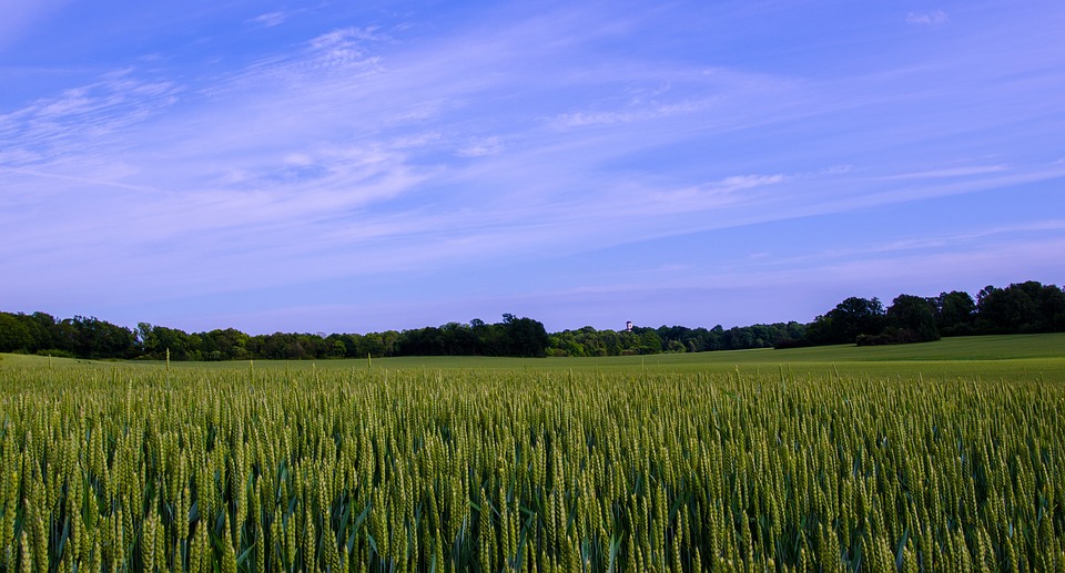 Sweden Summer Landscapes Free Photo On Pixabay