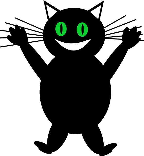 Gato, Ressaca, Animais, Gatinha