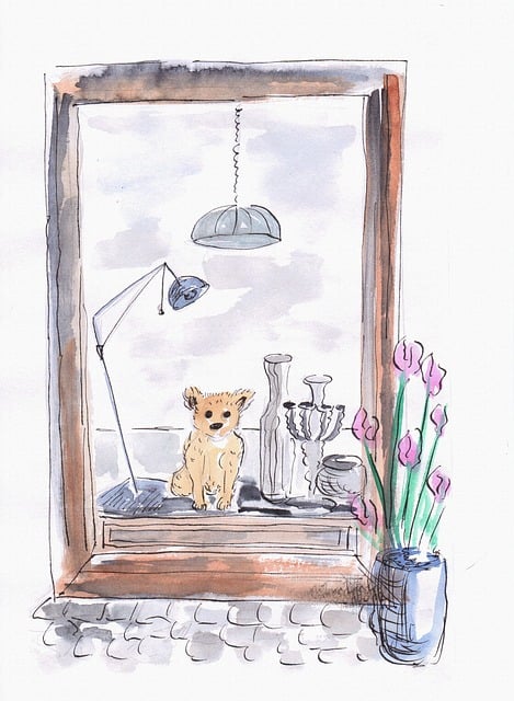 Cachorro, Animal, Chihuahua, Híbrido