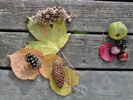 Otoño, Fruta, Fondo, Naturaleza