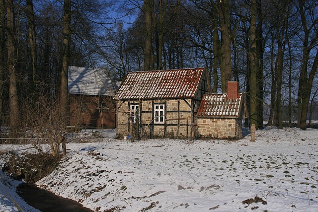 Free Backhaus Winter photo and picture
