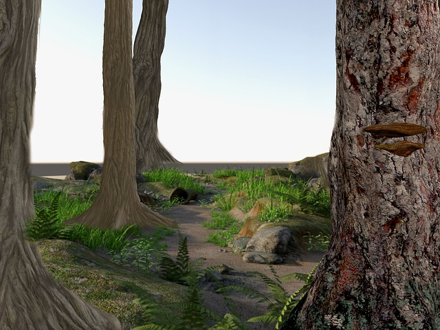 Free forest nature trees illustration