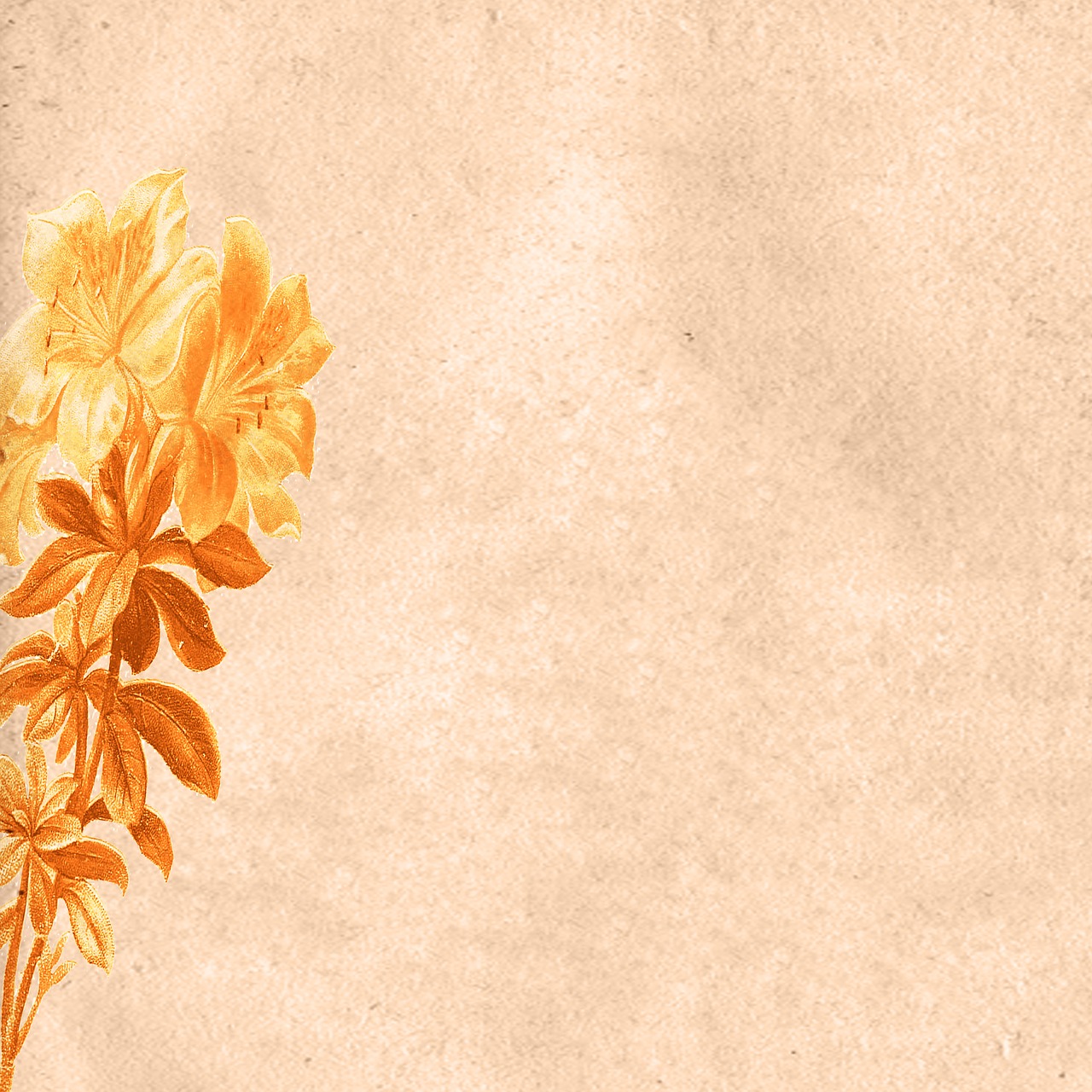 50,000+ Free Renaissance Background & Renaissance Images - Pixabay