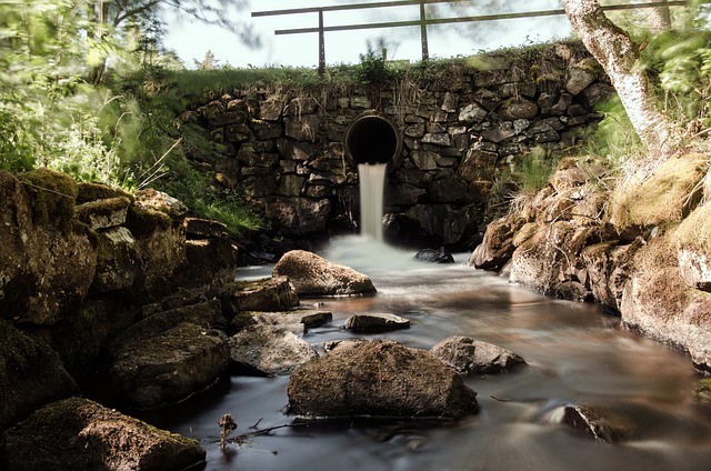 Free Water Rapids photo and picture