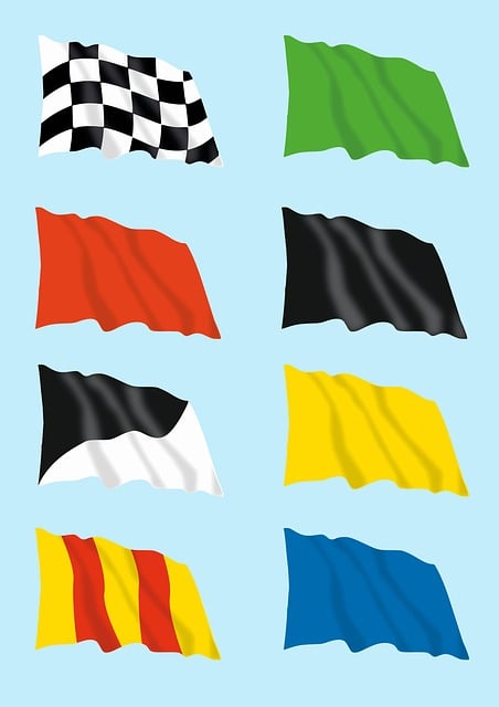Free flag chess racing illustration