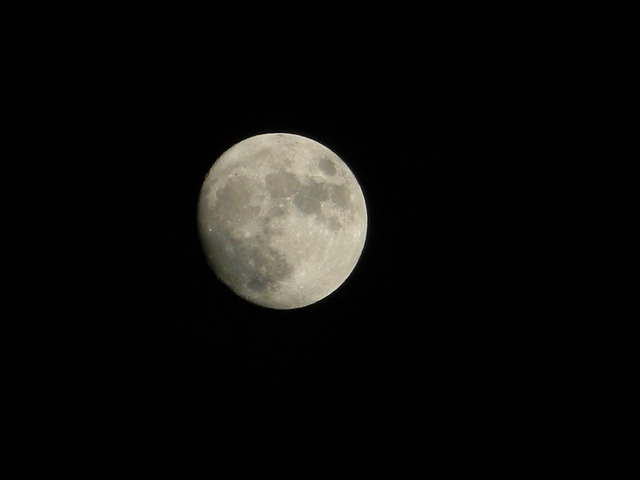 Free Moon Phases photo and picture