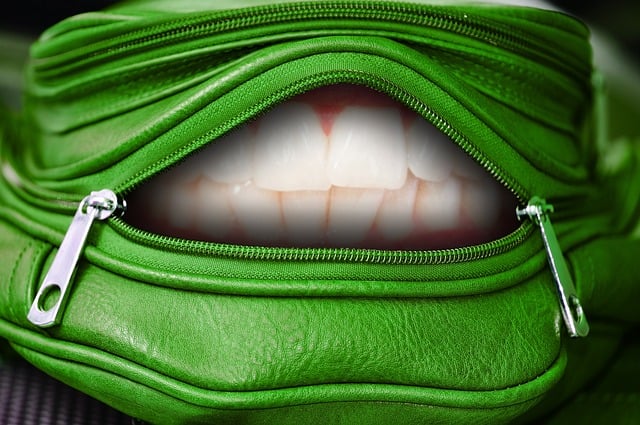 Download free HD stock image of Pocket Zipper Free pocket zipper teeth illustration