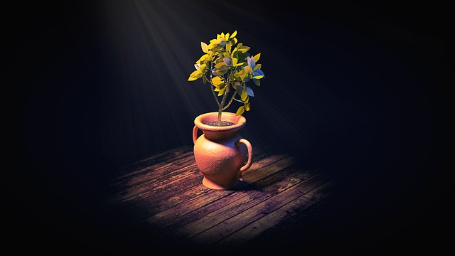 Free houseplant plant foliage illustration