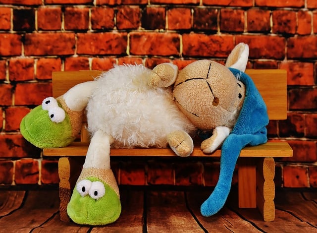 Schaap, Slaapkop, Grappig, Knuffel
