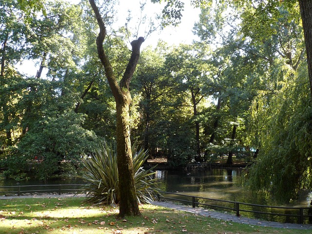 Free Park Summer photo and picture