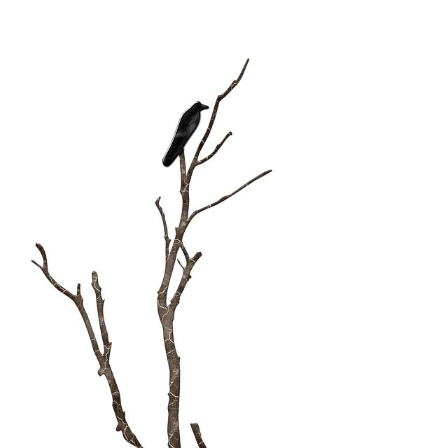 Free bird on branch abstract black bird illustration