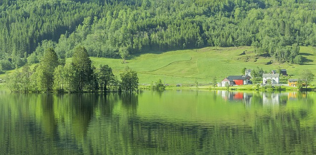 Free Norway Lake photo and picture