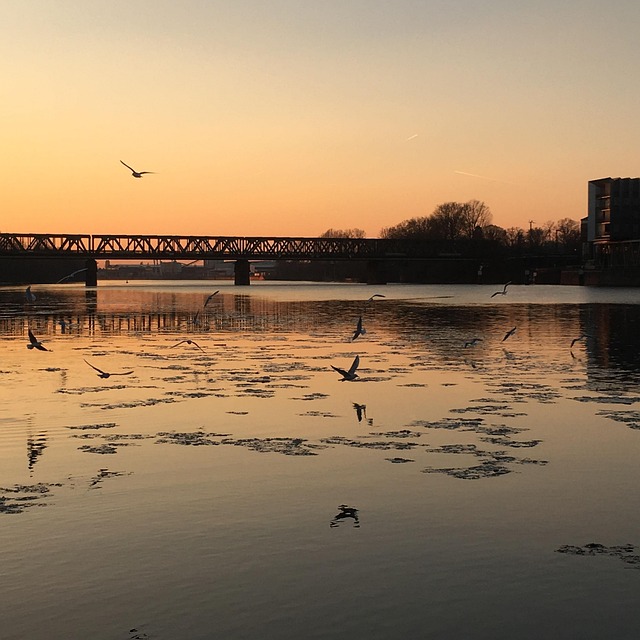 Free Flow Bridge photo and picture