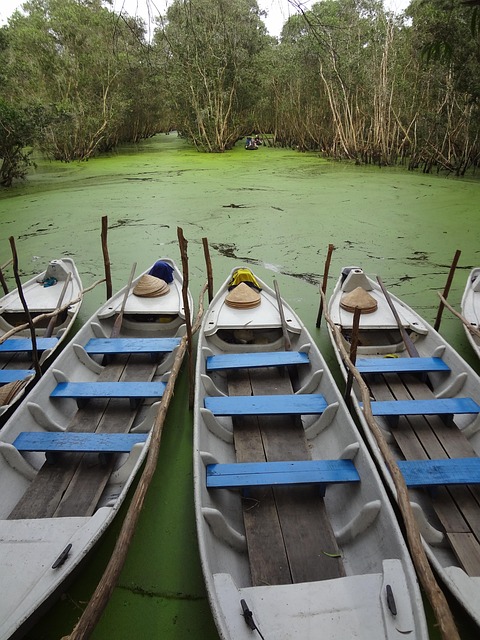 Free Asia Mangroves photo and picture