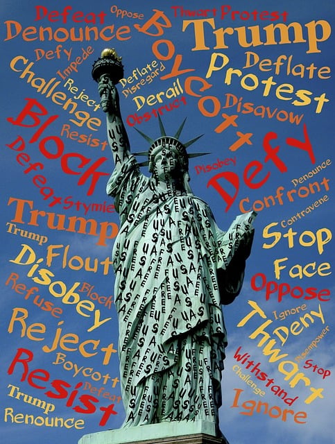 Free liberty statue defy illustration