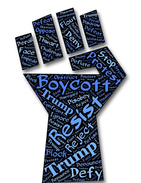 Free defiance fist resist illustration
