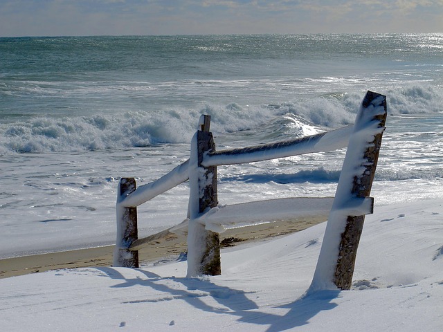 Free Fence Beach photo and picture