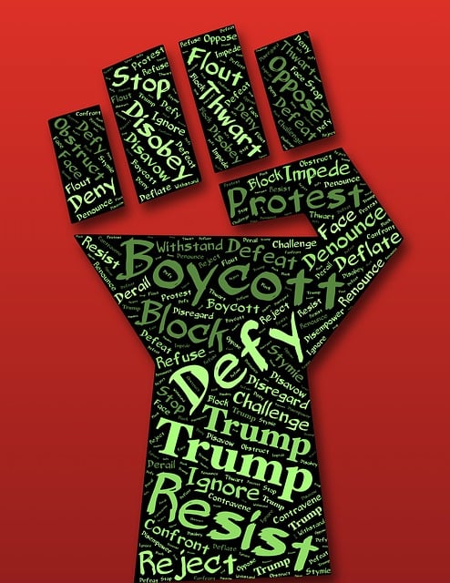 Free defiance fist resist illustration