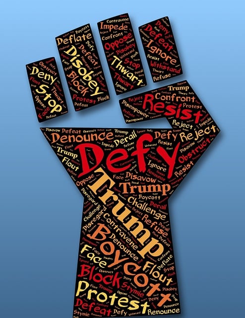 Free defiance fist resist illustration