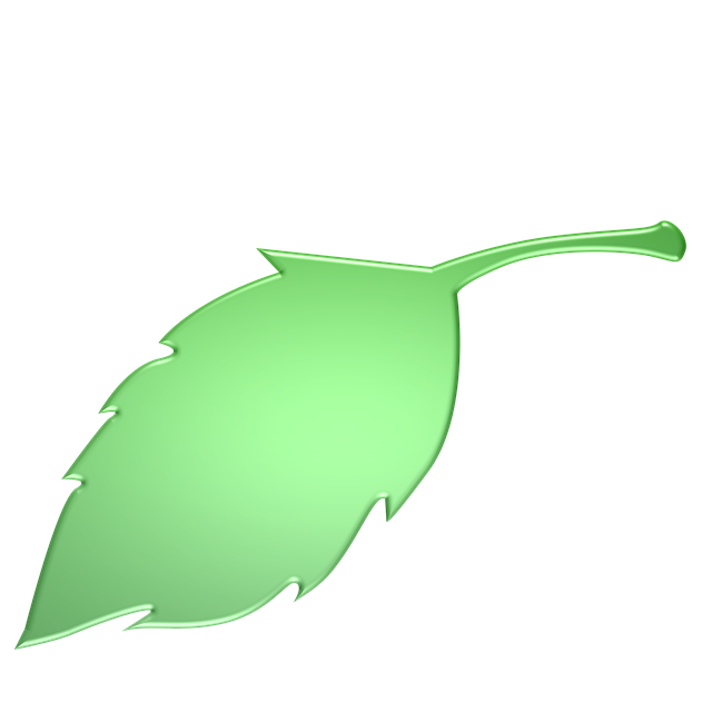 Free leaf green green leaves illustration