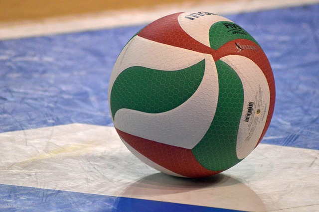 Free Sport Volleyball photo and picture