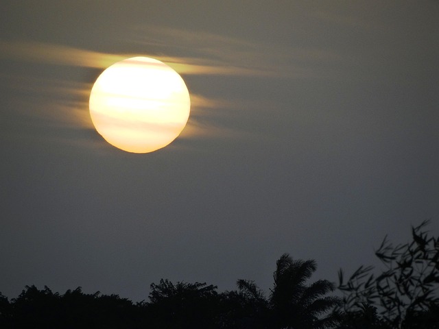 Free Dawn Nature photo and picture