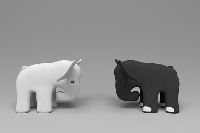 Elefanter, Hvit Elefant, Svart Elefant