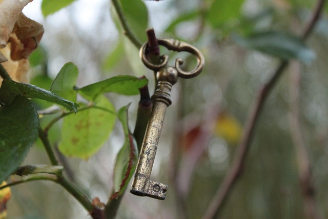 Free Key Garden photo and picture