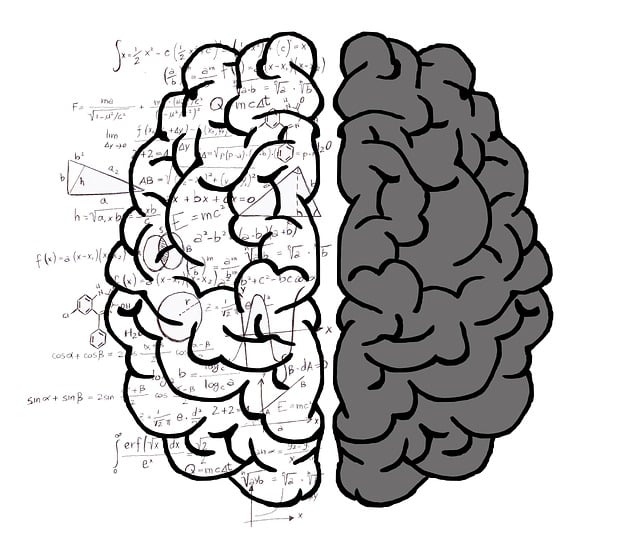Free brain mind psychology illustration