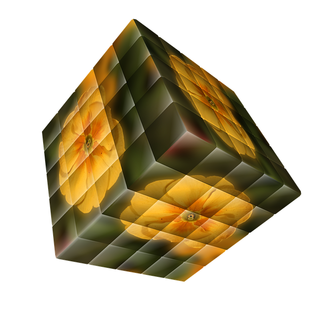 Free dice flower primrose illustration