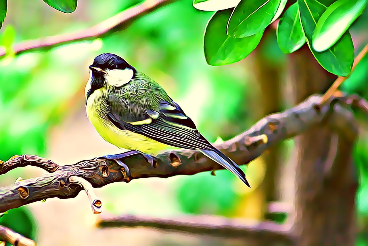 Download free HD stock image of Titmouse Spring Free titmouse spring summer illustration