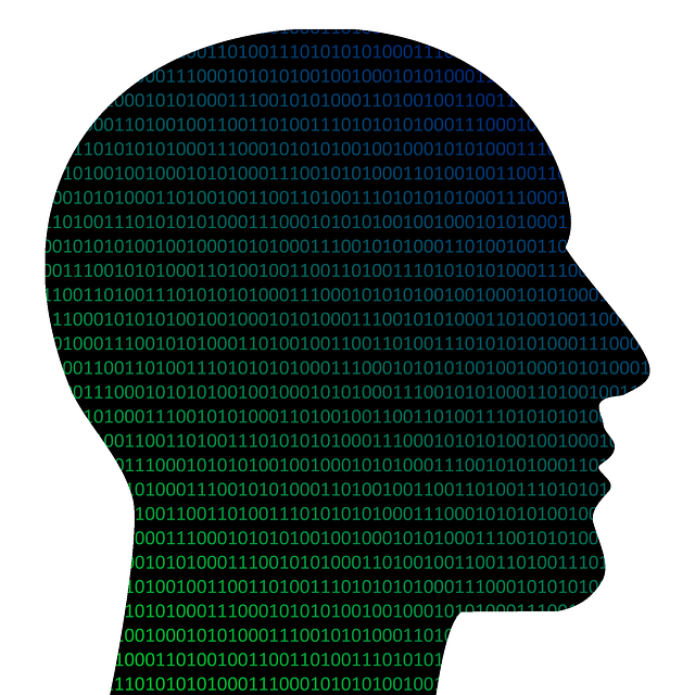 Download Head, Binary, Coding. RoyaltyFree Stock Illustration Image Pixabay
