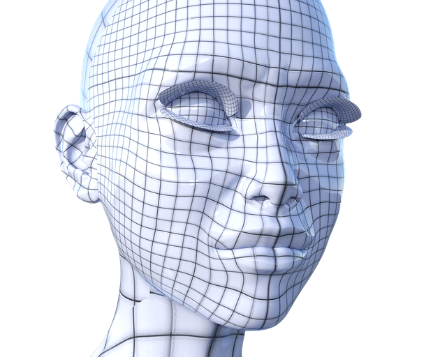 Cibernetic, Realitate Virtuala, Cap