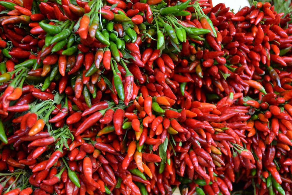 Red Chilli Edible - Free photo on Pixabay - Pixabay