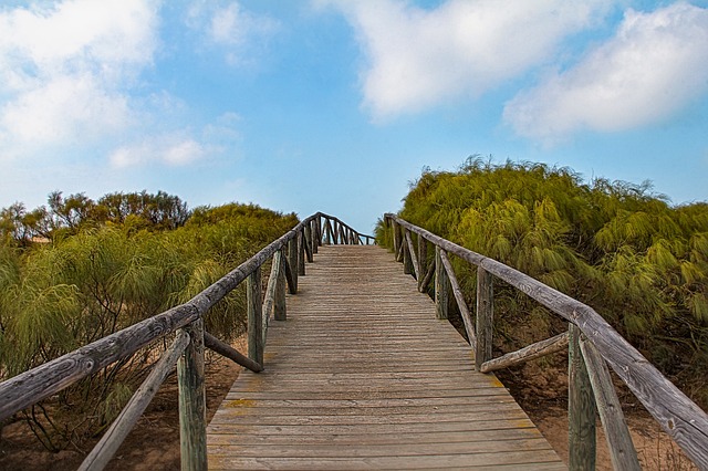 Free Gateway Beach photo and picture
