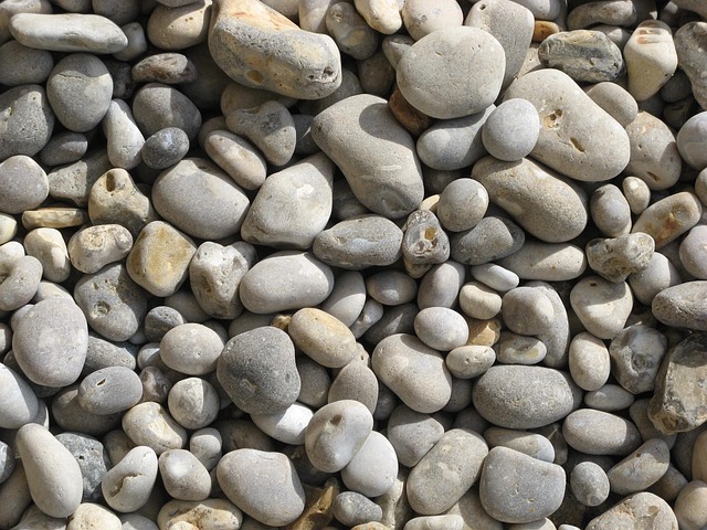 Free Roller Sea photo and picture