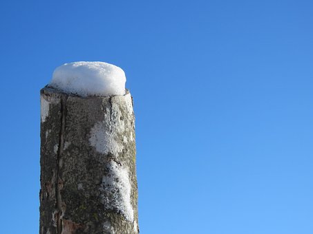 Winter, Schnee, Post, Fichte, Ottawa