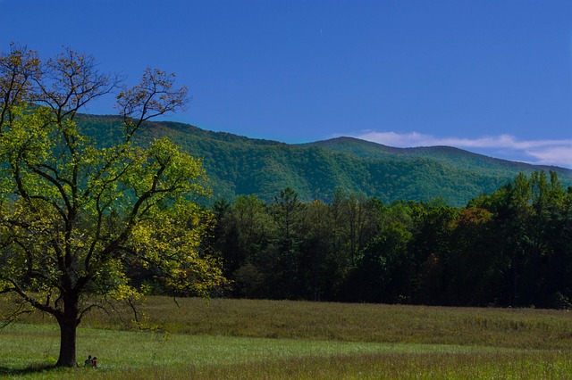 Free Mountains Landscape photo and picture