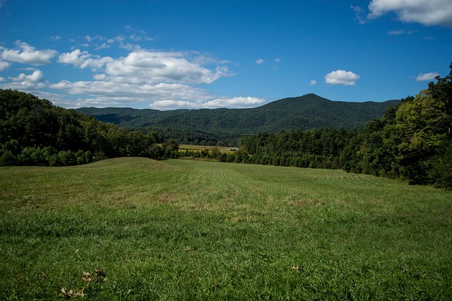 Free Park Mountain photo and picture