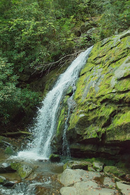 Free Waterfall Water photo and picture