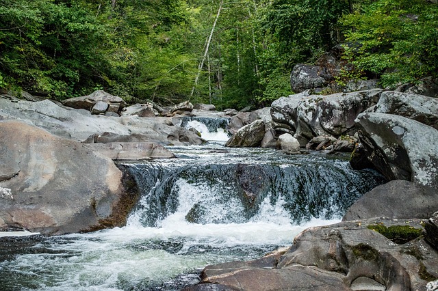 Free Wilderness River photo and picture