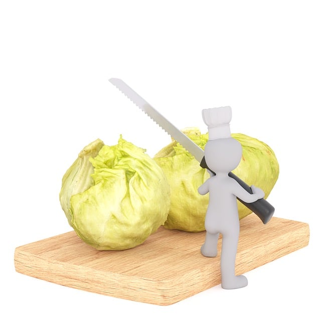 Free purchasing food white cabbage illustration