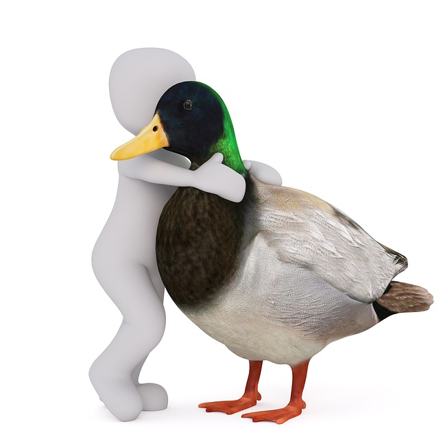 Free male 3d model isolated illustration