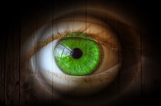 Free eye eyelashes wooden eye illustration