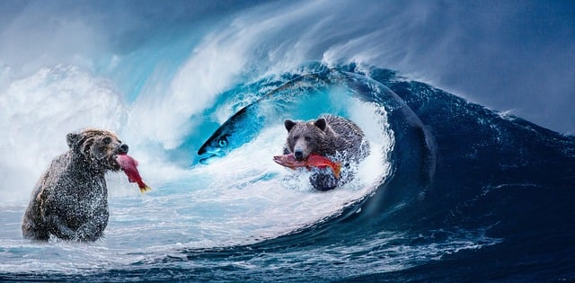 Free wave sea nature illustration